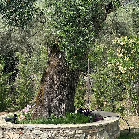 Willa The White Nydri (Lefkada)